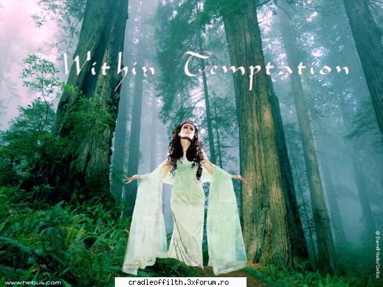 ink una within temptation