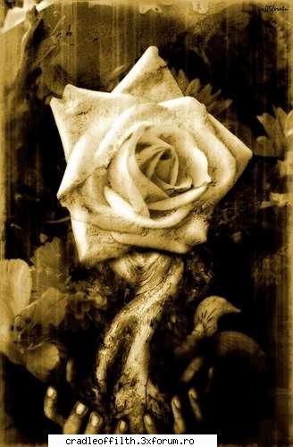 cool pics - =)eu nu cred ca ne injura ca le dam poze sau dak - Off-topic!