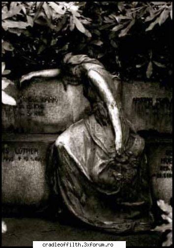 cool pics - dark_angel666 - Off-topic!