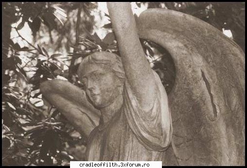 cool pics - arh inetrvalllllllllllllllllllllllllllllllllllllll - Off-topic!
