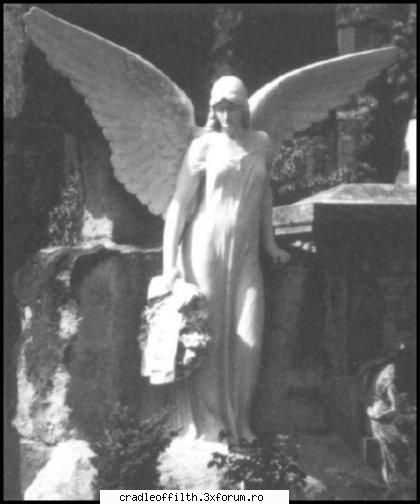 cool pics - dark_angel666 - Off-topic!