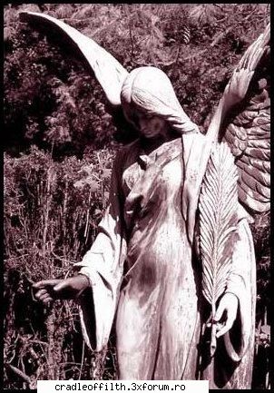 cool pics - dark_angel666 - Off-topic!