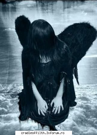 cool pics - the_last_embrace - Off-topic!
