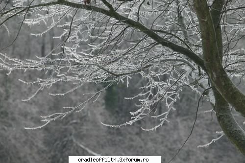 cool pics - the_last_embrace - Off-topic!