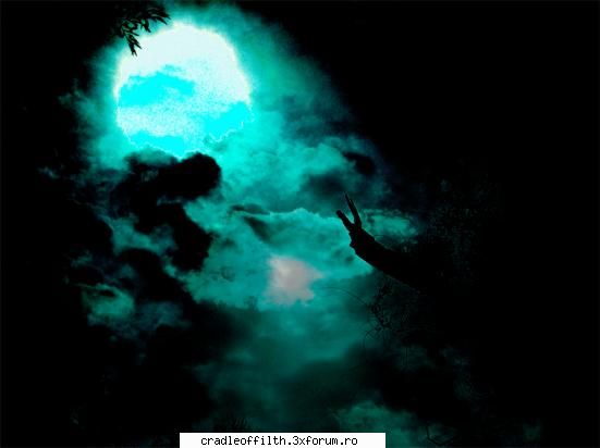 cool pics - nymphetamine crow - Off-topic!