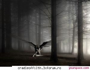 cool pics - the_last_embrace - Off-topic!