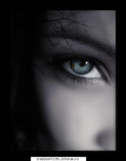 cool pics - the_last_embrace - Off-topic!