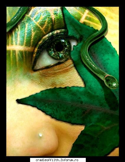 cool pics - vaduva_neagra - Off-topic!