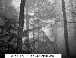 cool pics - the_last_embrace - Off-topic!