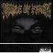 cool pics - dark_angel666 - Off-topic!