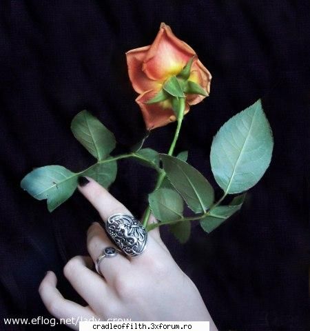 cool pics - dark_angel666 - Off-topic!