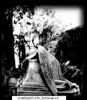 :zzz: cool pics