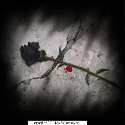 cool pics - dark_angel666 - Off-topic!