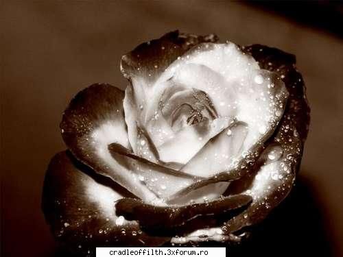 cool pics - dark_angel666 - Off-topic!
