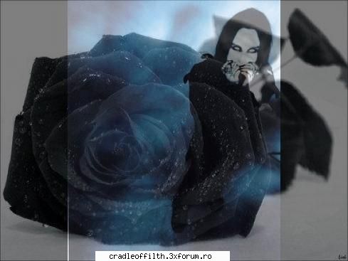 poze cu dani - dark_angel666 - Poze